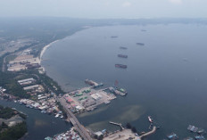 215 Ha untuk Kawasan Industri, Komitmen Pelindo Jaga Kondisi Alur Pulau Baai