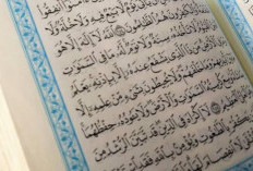 Jangan Takut, Ini Bacaan Doa Ketika Mendengar Suara Burung di Malam Hari