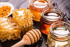 Berbagai Khasiat Dari Madu, Selain Mampu Mengobati Luka Diabetes, Juga Aman Dikonsumsi Bagi Penderita GERD
