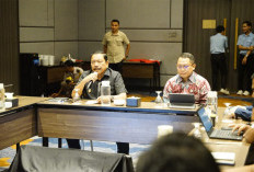 Produksi Tembus 1,5 Juta Ton, Kontribusi Ekspor CPO Bengkulu Masih Timpang