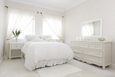 Rekomendasi Warna Kamar Cantik Bebas Nyamuk, Ruangan Jadi Indah dan Bebas Penyakit