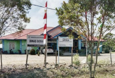 Penanganan ODGJ Dipercepat, Dinsos Jemput Laporan Warga