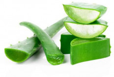 Mudah dan Cepat, Ini 5 Cara Menghilangkan Flek Hitam di Wajah dengan Bahan Alami