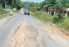 Rp 2 Miliar Diusulkan ke Bapperida untuk Jalan D1-D7, Zaitul: Belum Diakomodir