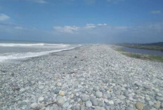 Pantai Batu Putih, Destinasi Wisata Murah Meriah di Bengkulu Selatan