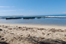Pantai Bunga Karang, Wisata Alam Paling Hits di Kabupaten Kaur Bengkulu