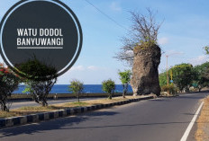 Bikin Merinding, Cerita Mistis Dibalik Watu Dodol di Banyuwangi, Sejak Zaman Belanda Tak Dapat Dipindahkan