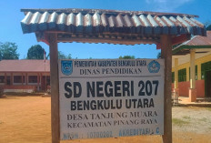 3 Tahun Diusulkan, SDN 207 BU Menanti Rehab Ruang Kelas dan Gedung Baru