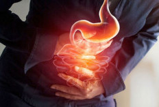 Tidak Perlu Langsung Beli Di Apotek, Kenali Obat Alami Asam Lambung Ampuh