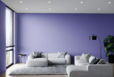 Selain Bikin Aesthetic, Ternyata Warna Cat Dinding Ini Berpengaruh Usir Nyamuk di Rumah