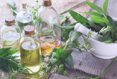 7 Bahan Alami Ini Bikin Tubuhmu Wangi, Dijamin Pasanganmu Makin Lengket