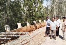 PU Provinsi Kaji Perbaikan Ulang Jalan Provinsi Tanjung Alai–Jabi yang Amblas