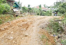 Tokoh Masyarakat Desak Perbaikan Jalan dan Puskesmas, 42 Tahun Belum Diaspal! 