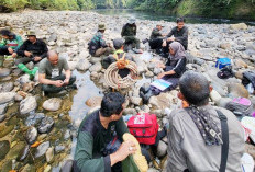 Pantau Pegerakan Gajah Sumatera, BKSDA Bengkulu-Lampung Pasang GPS Collar