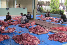 Bolehkah Daging Kurban Dibagikan ke Nonmuslim? Ini Penjelasan Hukumnya
