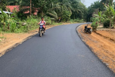 Realisasi Janji Arie - Sumarno, Jalan Poros Desa di Padang Jaya Diaspal