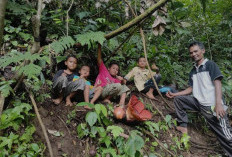 Terjawab Sudah, Selain Air Terjun Ini Alasan Objek Wisata Kemumu Selalu Ramai Dikunjungi Turis Lokal & Asing