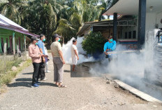 PSN dan Fogging Digelar Serentak, XIV Koto Perketat Pencegahan DBD