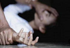 Sat...Set...Modus Pacaran, Polsek PH Ringkus Pelaku Dugaan Asusila Terhadap Anak Dibawah Umur