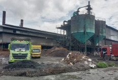 Pasokan Buah Seret, Pabrik Sawit di Mukomuko Pangkas Tenaga Kerja