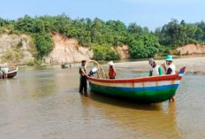 Kepiting hingga Lokan Jadi Sumber Cuan Warga Mukomuko