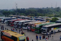 7 Tips Mudik, Agar Aman dan Nyaman Sampai ke Kampung Halaman