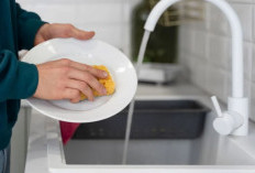 Meskipun Sepele, 8 Barang di Rumah Ini Harus Kamu Bersihkan Setiap Hari