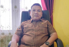 Musim Hujan, Dinas Kesehatan Bengkulu Utara Waspadai DBD