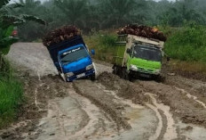 Kontribusi Tambang dan Sawit Sangat Besar, Infrastruktur Dapil IV Bengkulu Utara Masih Tertinggal?