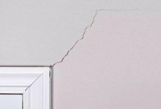 Retak Rambut di Dinding Rumah  Ternyata 5 Hal Ini Penyebabnya, Jangan Dianggap Sepele