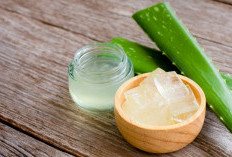 Ampuh Mengatasi Berbagai Masalah Kulit, Begini Cara Membuat Masker Lidah Buaya