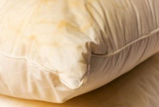 Cara Menghilangkan Jamur dari Bantal Secara Aman dan Efektif
