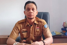 Uji Kelayakan Kendaraan Berlaku 6 Bulan, KIR Gratis