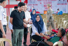 Donor Darah Sedunia, PMI Bengkulu Utara 'Sedot' Ratusan Kantong Darah