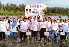 Selamatkan Pesisir, Mukomuko Tanam 1.000 Mangrove di Hari Mangrove Sedunia