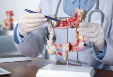 7 Cara Alami Membersihkan Usus Besar Tanpa Bahan Kimia