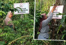 Di Balik Kebun Kopi Tangguh Iklim, Tangan Perempuan Petani Jadi Perisai Burung