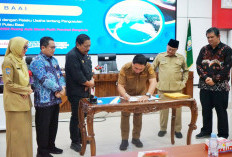 Pelaku Usaha Diminta Berperan Dalam Optimalisasi Kawasan Industri di Pulau Baai