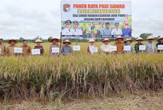 Panen Raya di Sumber Makmur, Pemkab Mukomuko Dorong Target Surplus Pangan