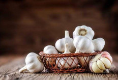 Dapatkan Glutathion Alami dalam Bahan Makanan yang Mengandung Sulfur