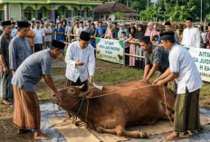 Jangan Lewatkan Kesempatannya Dan Ambil Keutamaannya, Ibadah Qurban Dalam Syariat Islam