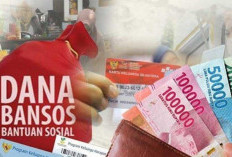 NIK Dipakai Judi Online dan Pinjaman Bank Bisa Gagalkan Bansos