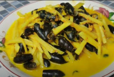 Banyak yang Belum Tahu Siput Air atau Lebih Dikenal Liling oleh Warga Bengkulu, Ternyata Sangat Kaya Manfaat