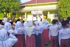PPDB 2026 Naik, MTsN 5 Sumber Makmur Makin Diminati