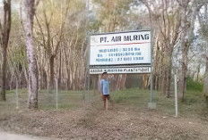 Soroti AMDAL Alih Komoditas PT Air Muring, Evaluasi Kajian Lingkungan dan Sempadan Sungai 