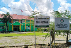 Soal Bantuan Alsintan Petani Mukomuko Tunggu Kabar Pusat