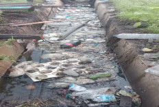 Parit Pasar Lubuk Sanai III Jadi Sarang Sampah, Warga Dihantui Ancaman DBD