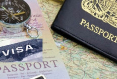 Kenali Perbedaan Visa dan Paspor Sebelum Pergi ke Luar Negeri
