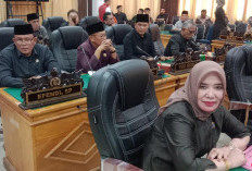 Ikuti Paripurna, Hj Armiyani Optimis Aspirasi Masyarakat Masih Bisa Diperjuangkan