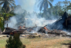 Ditinggal ke Kebun, Rumah Warga Desa Pagardin Habis Dilalap Api
